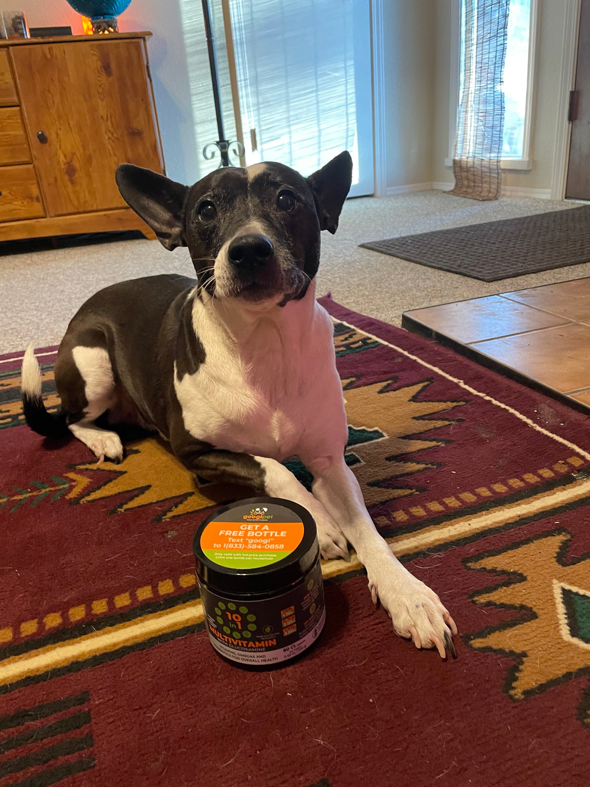 Is Coconut Oil Good for Dogs? - Googipet