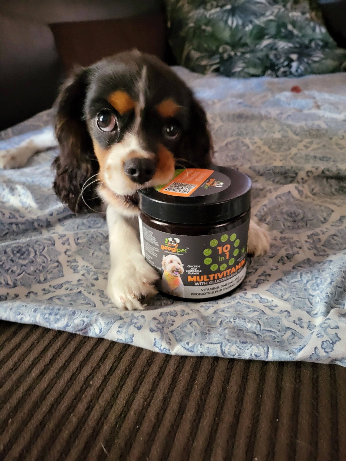 The Importance of Vitamins and Supplements for Your Dog's Diet - Googipet