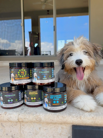 A Googipet family dog beside the original product range