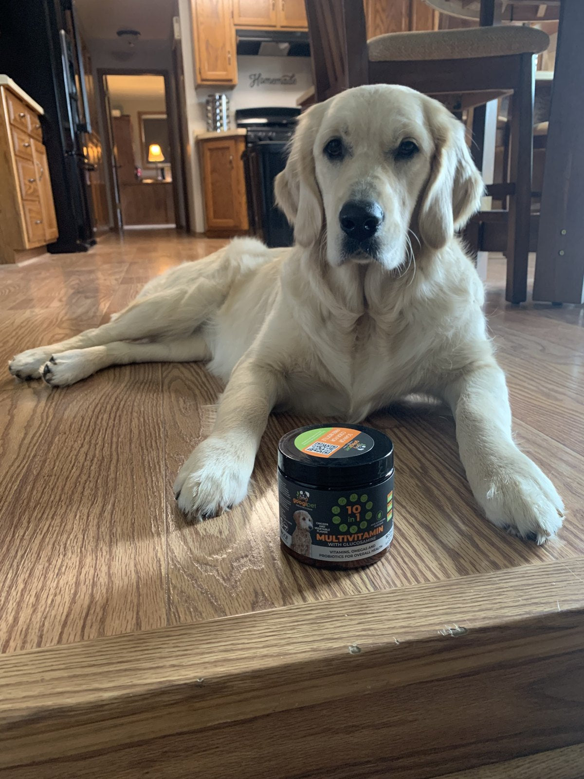 Nelly, Torry Pfeiffer's golden retriever