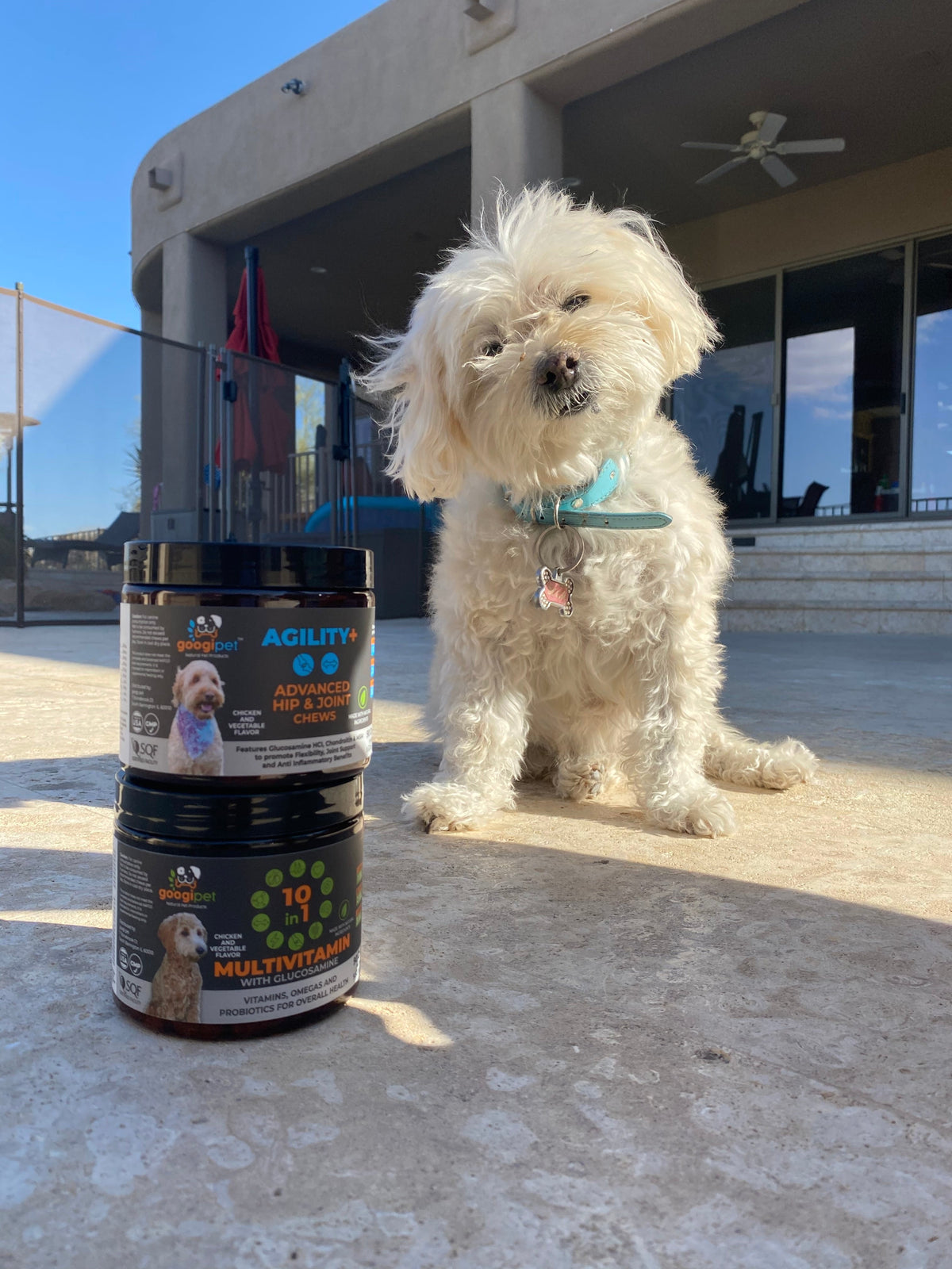 Best Dog Vitamins (Boost Your Dogs Health With Vitamins!)