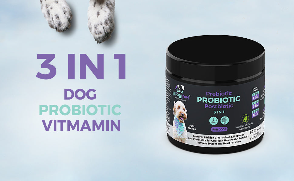 5 Benefits of Daily Probiotic Chews for Dogs: The Ultimate Guide to Improving Your Dog's Health with Probiotics