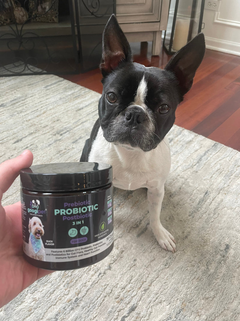 The Ultimate Guide to Choosing Chewable Probiotics for Dogs