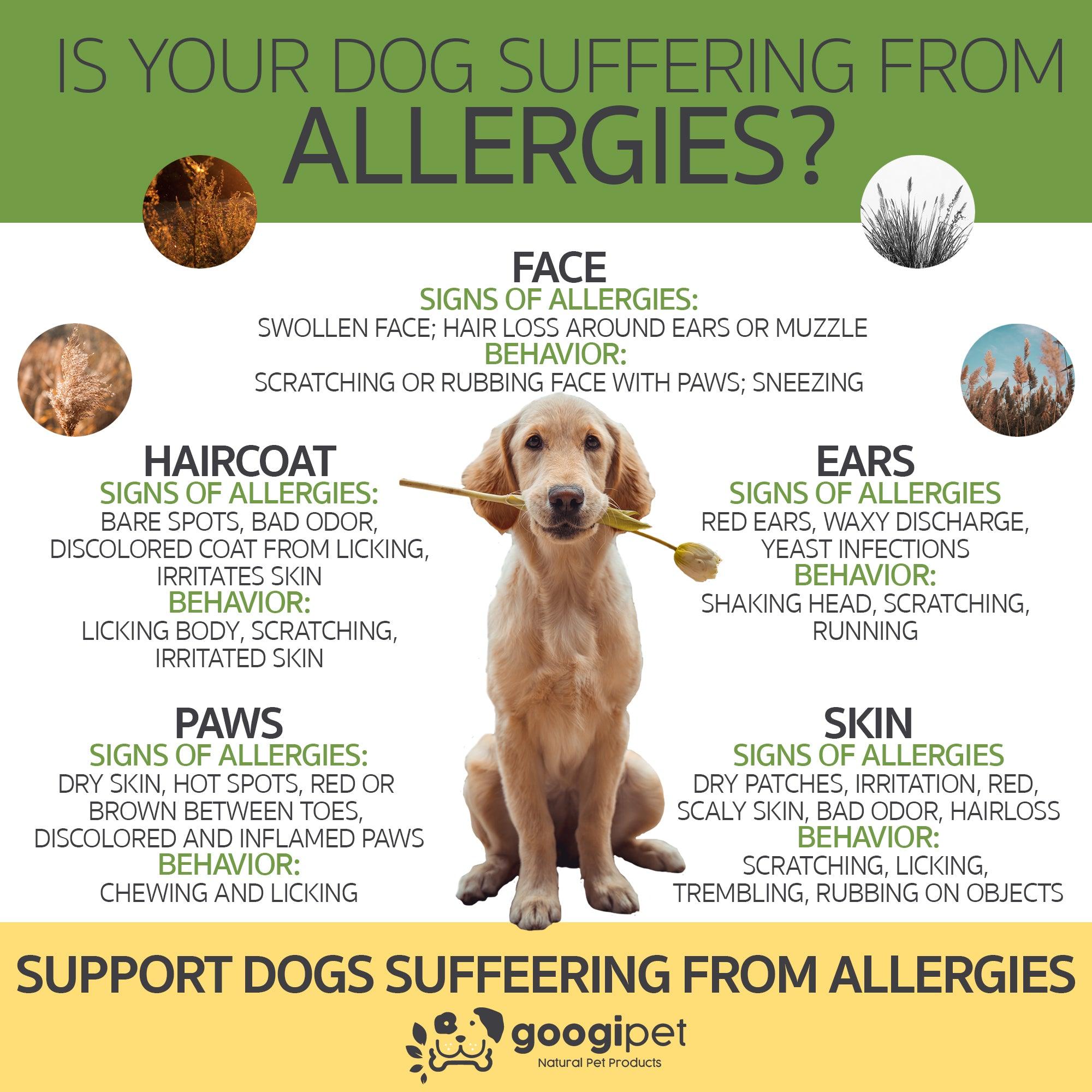 Allergy & Immune Support Chews - Googipet