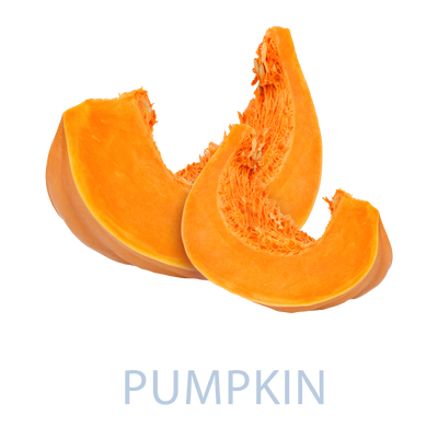 Pumpkin - Googipet