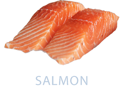 Salmon - Googipet