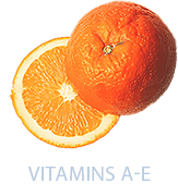 Vitamin C - Googipet