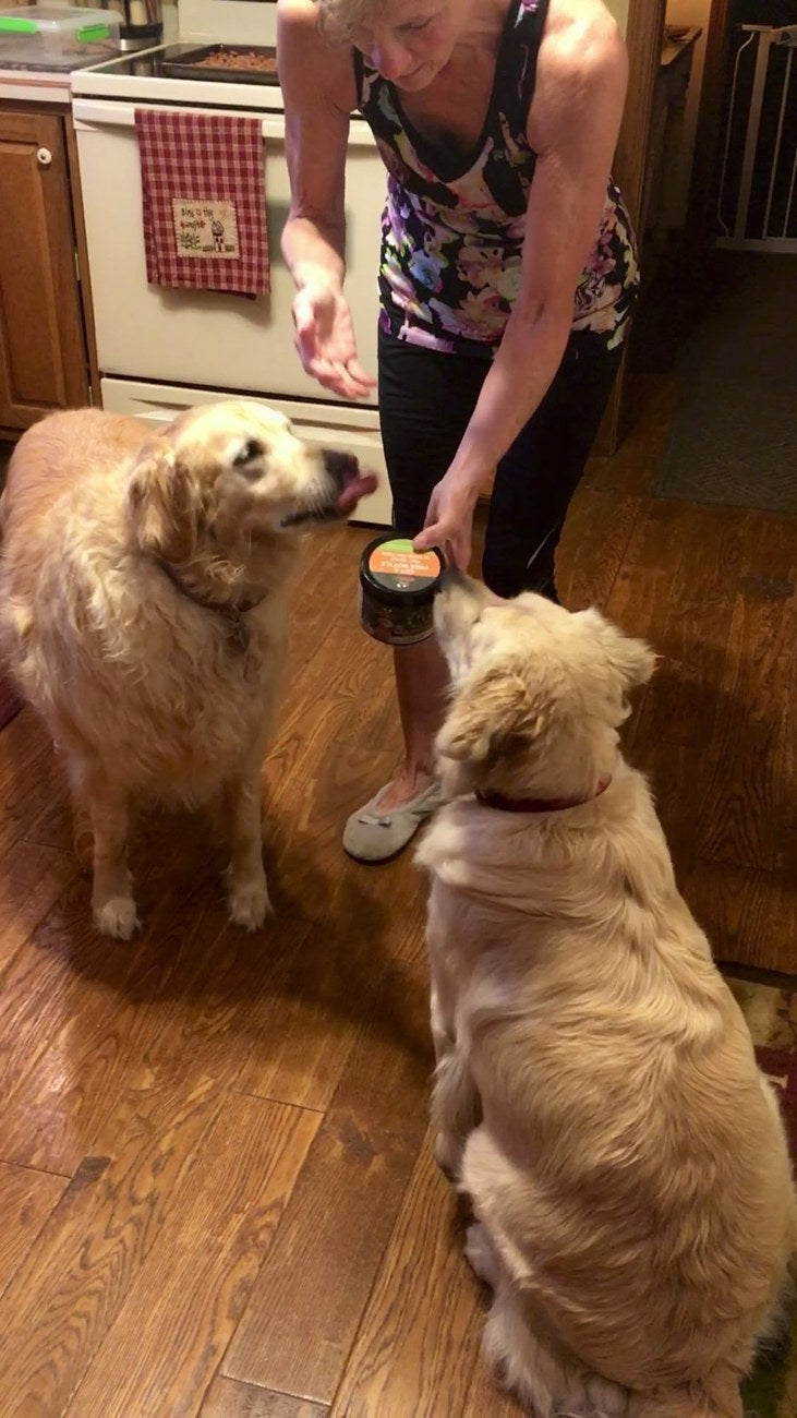 Gracie and Mollie at home