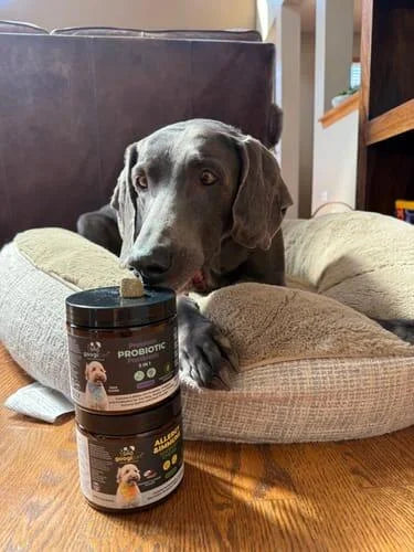 Taz beside his Googipet supplements in Lisa’s customer photo